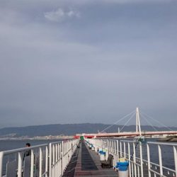 激熱ハマチ！！